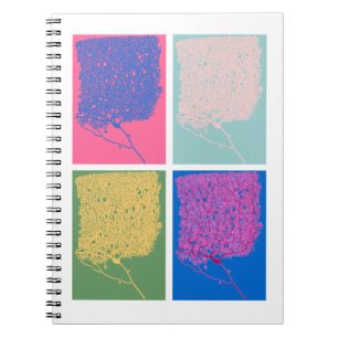 Caderno Espiral Neurociência pop