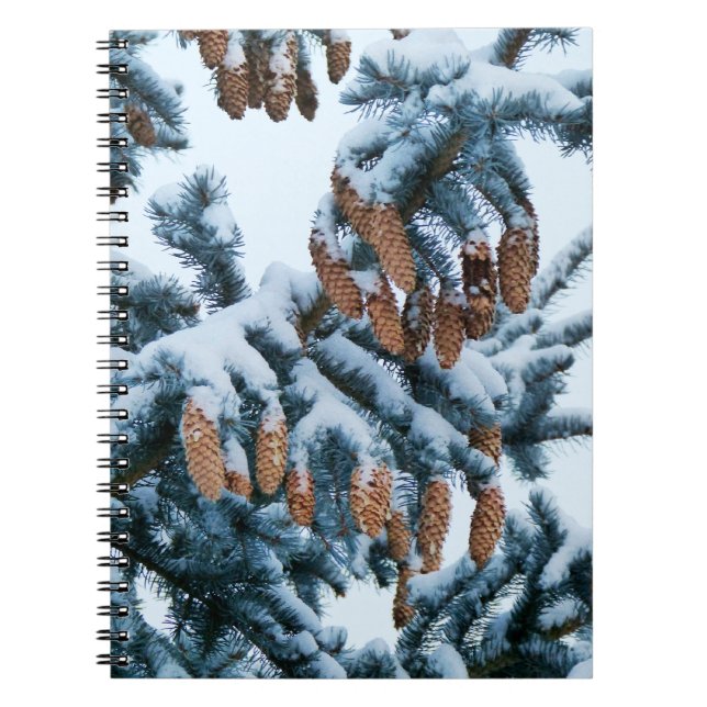 Caderno Espiral Neve no notebook Pines (Frente)