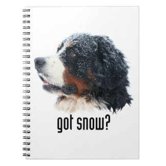 Caderno Espiral neve obtida? Cão de montanha de Bernese