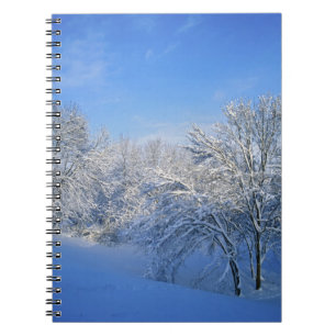 Caderno Espiral Neve recorde em Louisville, Kentucky.