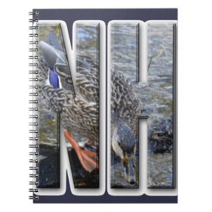 CADERNO ESPIRAL NH NOVO HAMPSHIRE