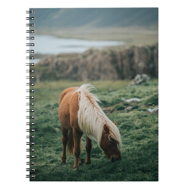 CADERNO ESPIRAL NICE HORSE (Frente)