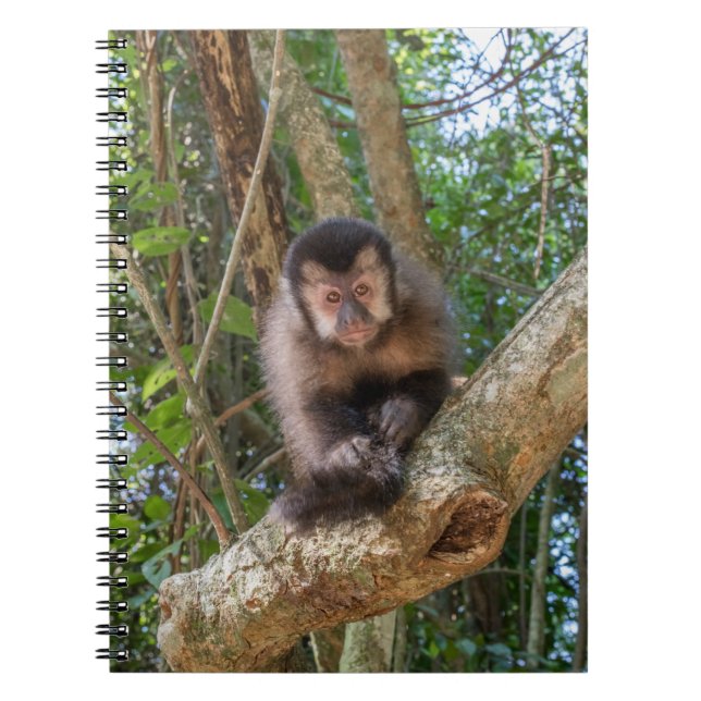 Caderno Espiral Nico Spiral Photo Notebook (Frente)