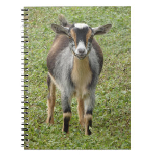 Caderno Espiral Nigeriano - Garoto De Cabra Dada