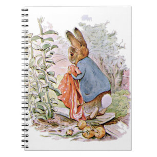 Caderno Espiral No caminho de casa Peter largou a maioria das cebo