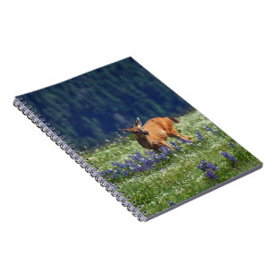 Caderno Espiral No campo