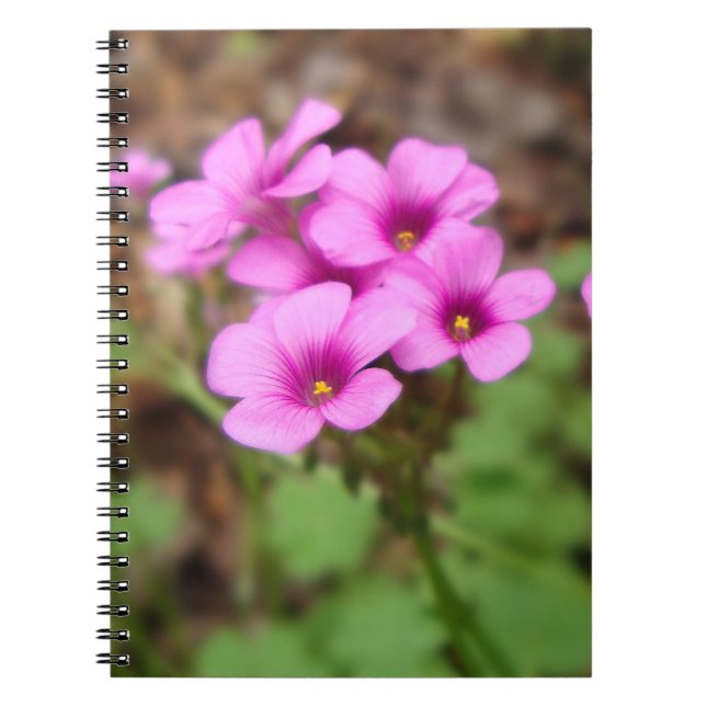 Caderno Espiral No meu notebook portátil (Frente)