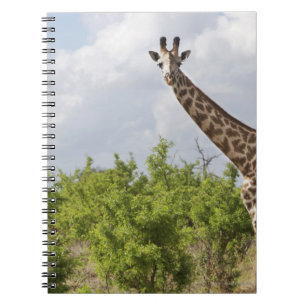 Caderno Espiral No safari em Tanzânia, África. 2