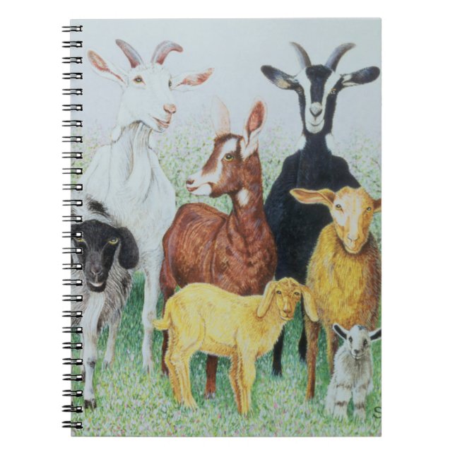 Caderno Espiral No trevo (Frente)