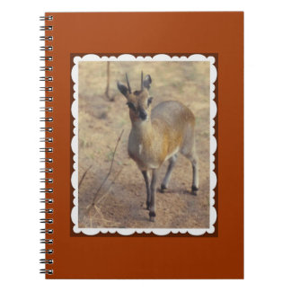 Caderno Espiral No Zoológico Notebook