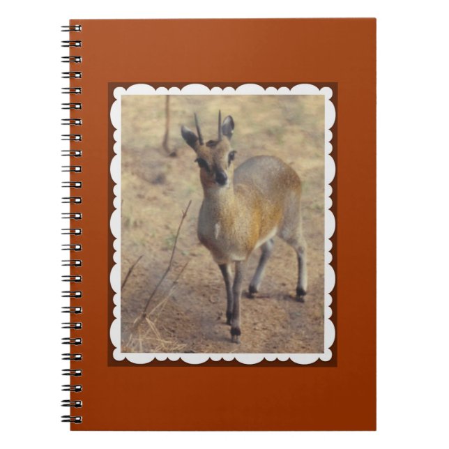 Caderno Espiral No Zoológico Notebook (Frente)