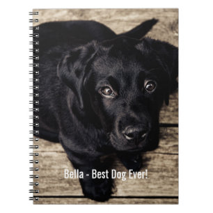 Caderno Espiral Nome preto personalizado da foto do cão do