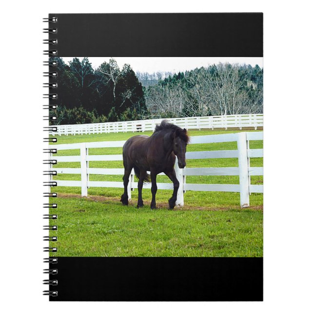 Caderno Espiral Nonesuch no Cedar Point (Frente)