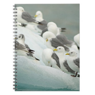 Caderno Espiral Noruega, Arquipélago de Svalbard, Spitsbergen