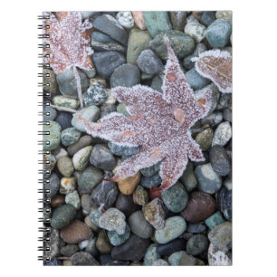 Caderno Espiral Nós, Wa, Bainbridge Island. Geada da Manhã 2