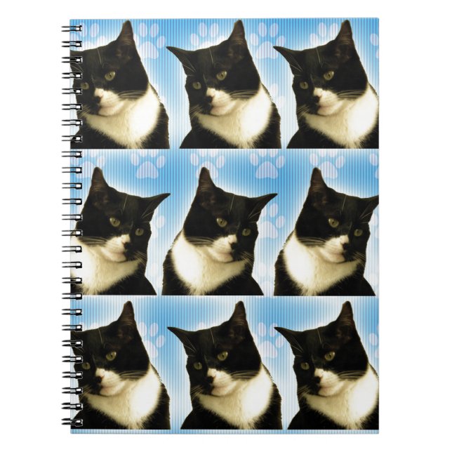 Caderno Espiral Nossa diversão, Tuxedo Cat Amor, Fato Fotográfico (Frente)
