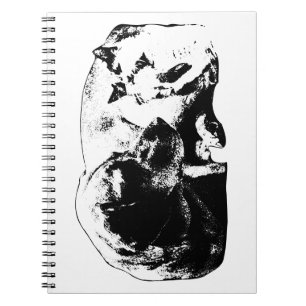 Caderno Espiral Notas com Dois Amigos