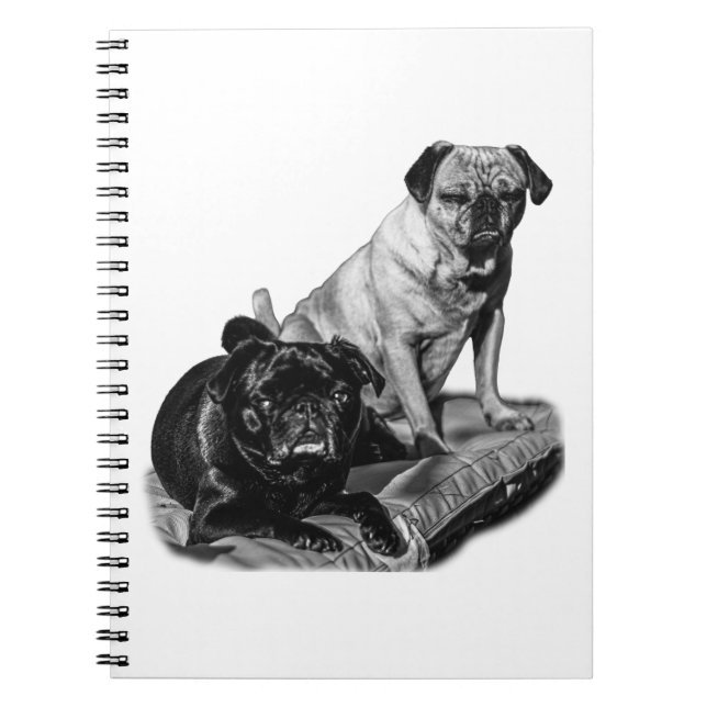 Caderno Espiral Notas com Pugs, Charme Sombreado (Frente)