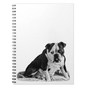 Caderno Espiral Notas com um Cachorro Calmo
