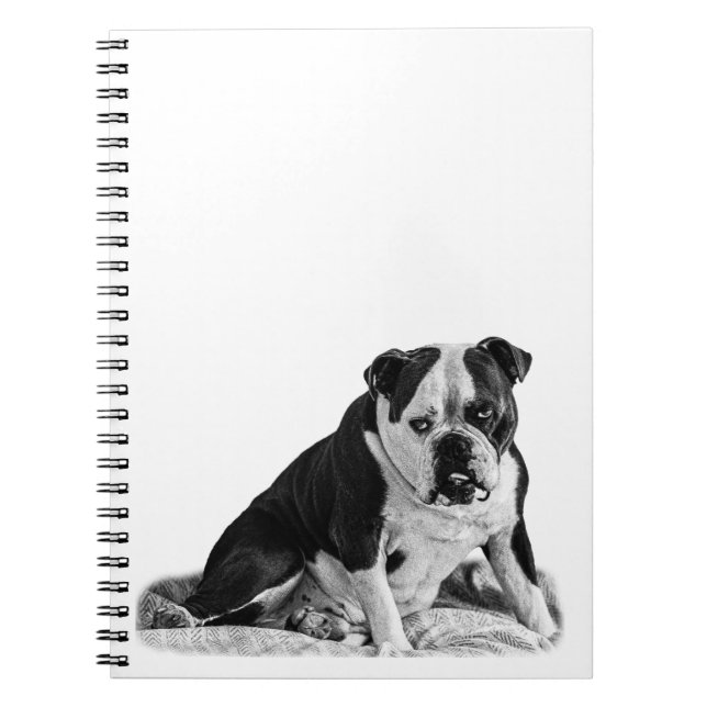 Caderno Espiral Notas com um Cachorro Calmo (Frente)