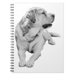 Caderno Espiral Notas com um Cavalheiro