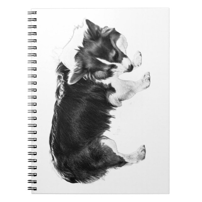 Caderno Espiral Notas de campo: Nariz de outono (Frente)