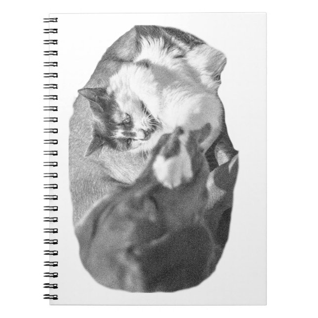 Caderno Espiral Notas de controle na empresa (Frente)