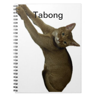 Caderno Espiral Notas de gato