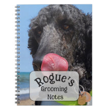 Notas de Higiene de Poodle Standard