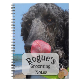 Caderno Espiral Notas de Higiene de Poodle Standard