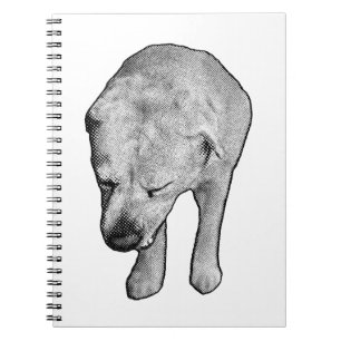 Caderno Espiral Notas de inverno com uso especial de laboratório