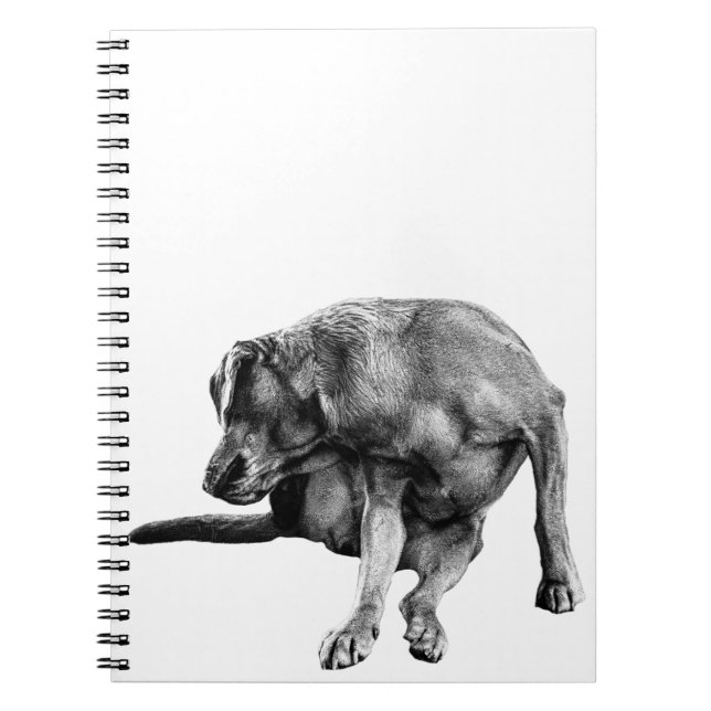 Caderno Espiral Notas de outono com Reprodução (Frente)