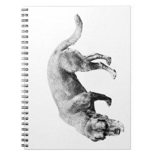 Caderno Espiral Notas de Trilha Suspensa