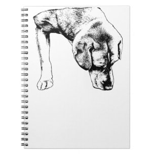 Caderno Espiral Notas De Uma Caminhada Silenciosa