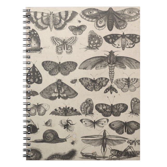 Caderno Espiral Notas do campo dos Lepidoptera da entomologia dos (Frente)