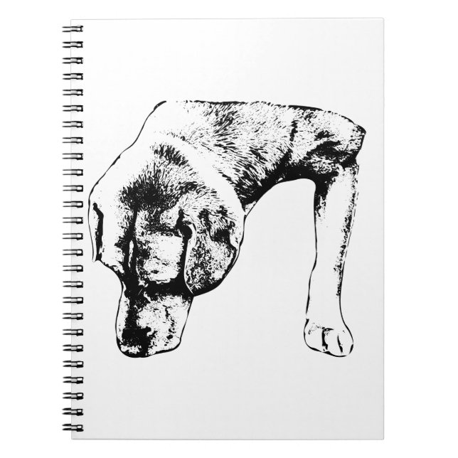 Caderno Espiral Notas Para Caminhos Silenciosos (Frente)