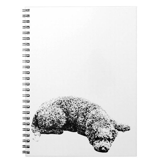 Caderno Espiral Notas pela janela (Frente)