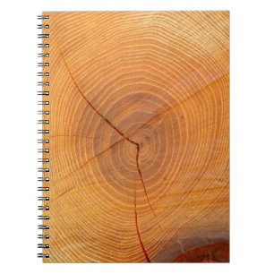 Caderno Espiral Notebook Acacia Tree Cross Section