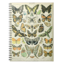 Notebook Adolphe Millot Butterflies