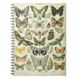 Caderno Espiral Notebook Adolphe Millot Butterflies