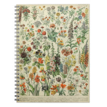 Notebook Adolphe Millot Flowers