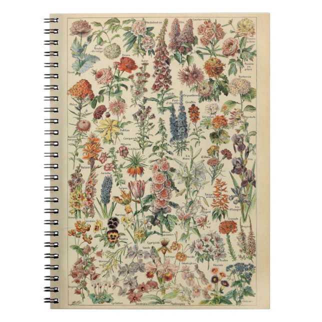 Caderno Espiral Notebook Adolphe Millot Flowers (Frente)