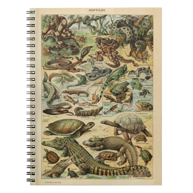 Caderno Espiral Notebook Adolphe Millot Reptile (Frente)