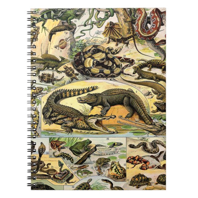 Caderno Espiral Notebook Adolphe Millot Reptiles 1 (Frente)