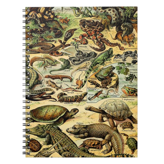 Caderno Espiral Notebook Adolphe Millot Reptiles 2 (Frente)