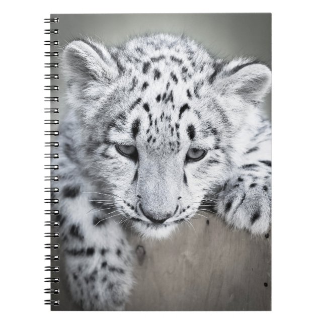 Caderno Espiral Notebook Adorabe Snow Leopard Cub (Frente)