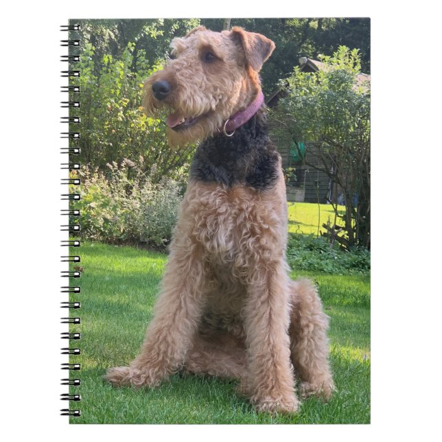 Caderno Espiral notebook Airedale Terrier (Frente)