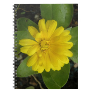 Caderno Espiral Notebook Amarelo Brilhante
