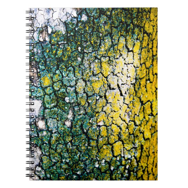 Caderno Espiral Notebook amarelo e espiral verde (Frente)