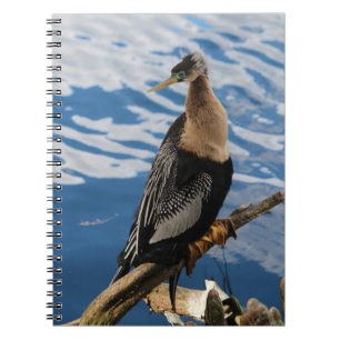 Caderno Espiral Notebook Anhinga Bird Foto Espiral